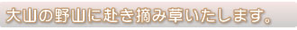 大山の野山に赴き摘み草いたします。