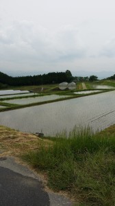 20140610_153508