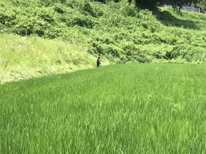 IMG_0462